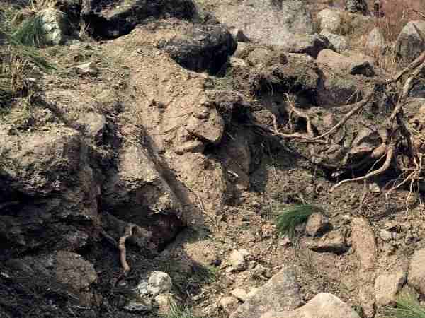 वायुसेना ने की थी स्ट्राइक वायुसेना ने की थी स्ट्राइक