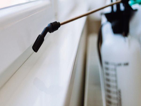 कमरे में छिड़की थी खटमल मारने की दवाई