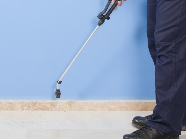 पेस्ट कंट्रोल के बाद दोनों कमरे में सो गए