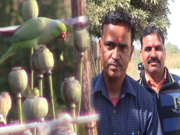 किसान पकड़कर देते हैं इन्हें सजा