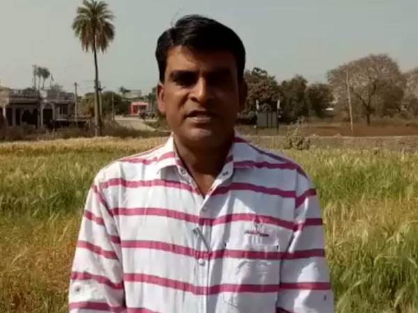 शिकारी जानवर हो रहे कम