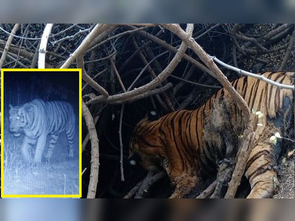 3 दिन बाद चला पता, वहीं की उसकी अंत्येष्टि