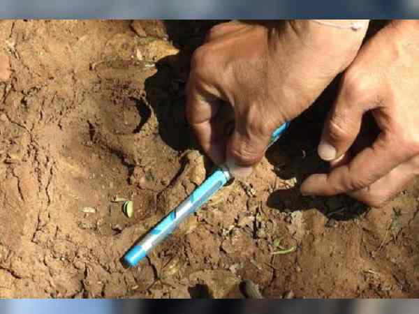 30 नमूनों में किया गया पोस्टमॉर्टम