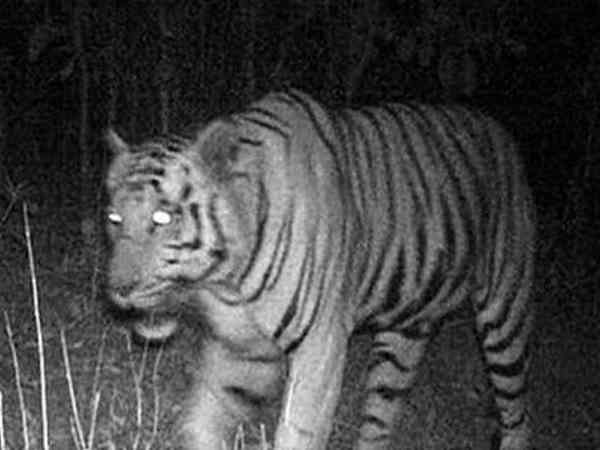 न गुजरात को मिल पाया, न मध्य प्रदेश लौट सका