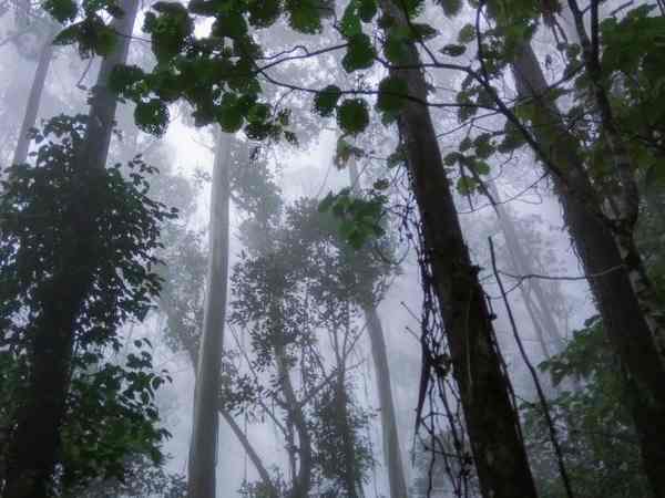 मौत के पीछे लगाए जा रहे ऐसे-ऐसे कयास