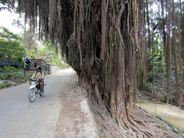 लॉकेट अवश्य धारण करना चाहिए लॉकेट अवश्य धारण करना चाहिए