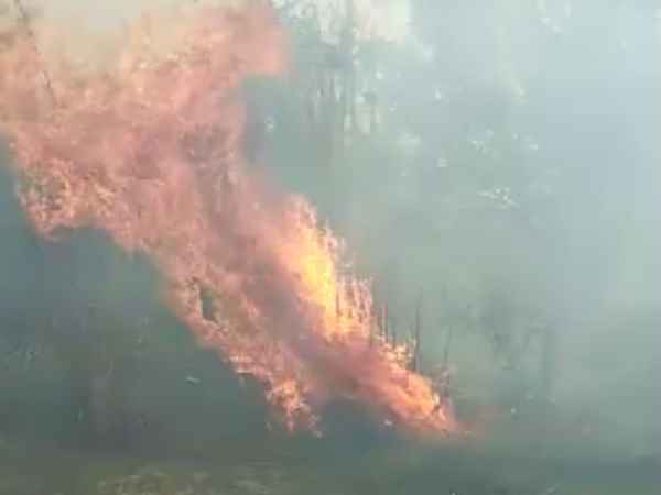 गेहूं के खेतों में लगी आग गेहूं के खेतों में लगी आग