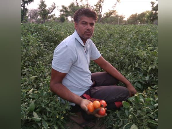 पंजाब के दोस्त के माध्यम से मंगवाए बीज