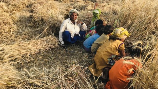 हेमा मालिनी की फ़ोटो हमारी मेहनत के साथ मज़ाक़ है