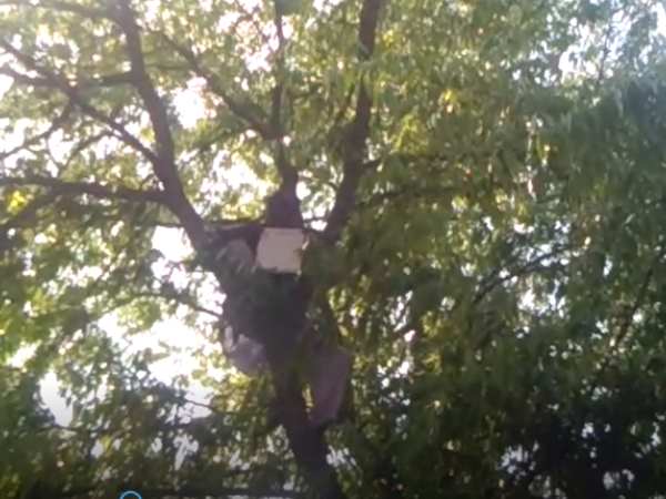 फांसी लगाने की धमकी फांसी लगाने की धमकी