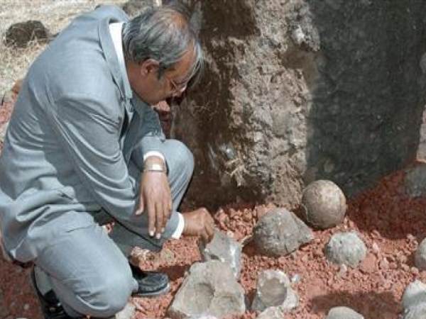 children stolen dinosaurs eggs from Dhar museum MP