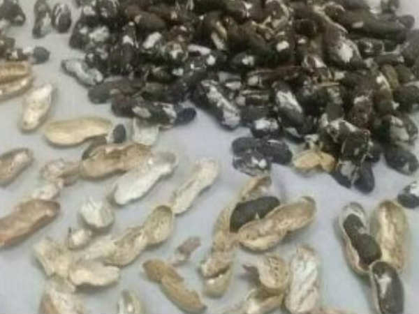 तस्करी के कैसे-कैसे तरीके: मूंगफली के अंदर भरकर ले जा रहा था चरस, एयरपोर्ट पर गिरफ्तार तस्करी के कैसे-कैसे तरीके: मूंगफली के अंदर भरकर ले जा रहा था चरस, एयरपोर्ट पर गिरफ्तार