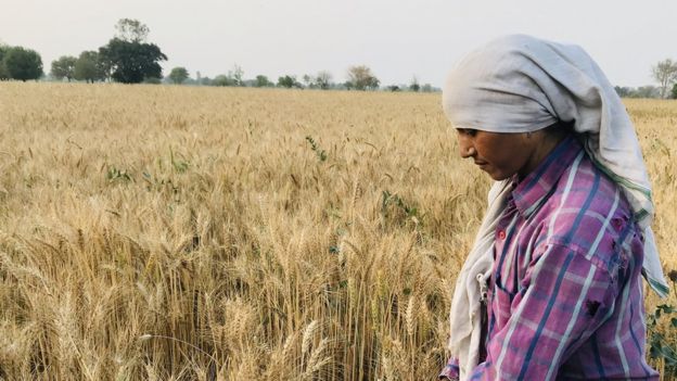 हेमा मालिनी की फ़ोटो हमारी मेहनत के साथ मज़ाक़ है