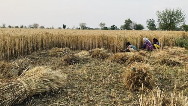 हेमा मालिनी की फ़ोटो हमारी मेहनत के साथ मज़ाक़ है