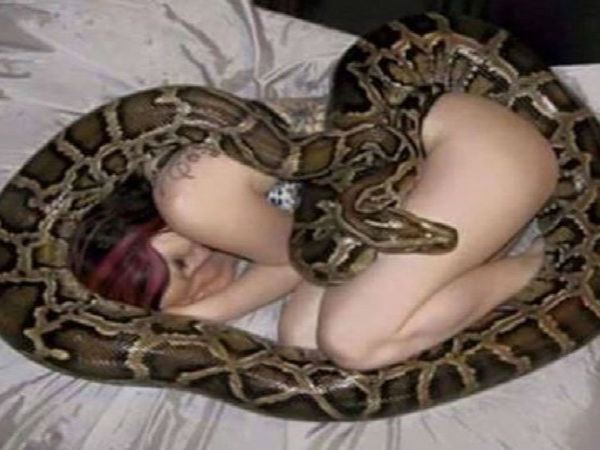 मालिक को ही शिकार बनाना चाहता था अजगर