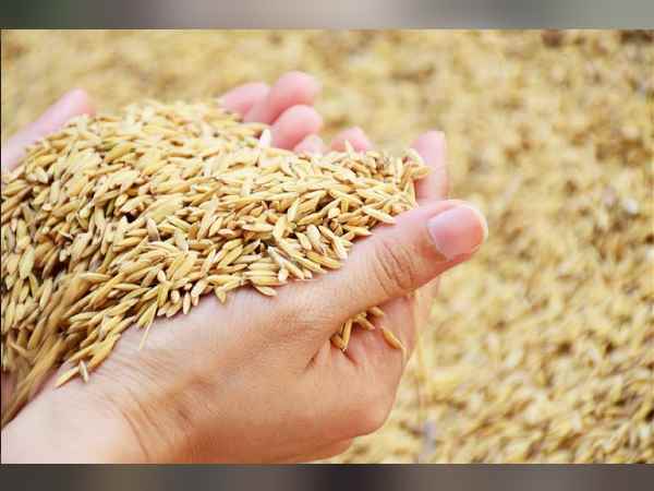 ऐसे की जा रही कार्रवाई ऐसे की जा रही कार्रवाई