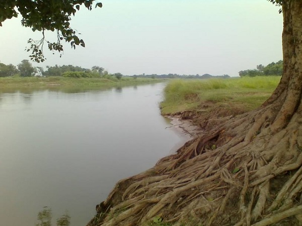 Gujarat: Three children drowned in water, dies Gujarat: Three children drowned in water, dies