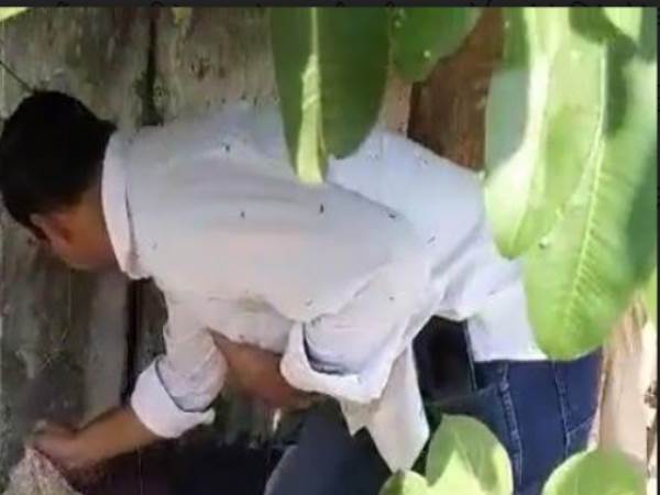 पुलिस ने वसीम को जेल में डाला