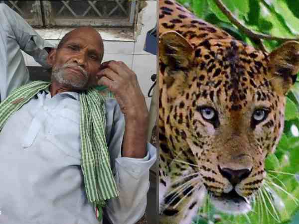 दिव्यांग बुजुर्ग पति ने तेंदुआ का सामना किया