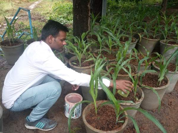 सपने को पूरा होने में 4 वर्ष लगे