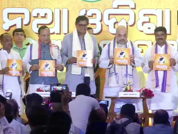 9 pillars of vision for the development of New Odisha:bjp 9 pillars of vision for the development of New Odisha:bjp