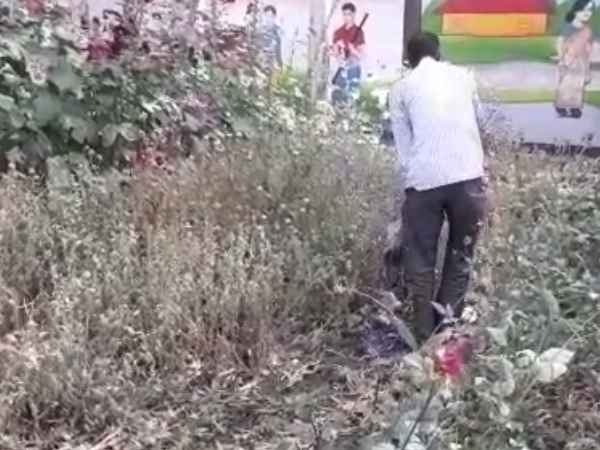 illegal opium cultivation caught in Sdm office