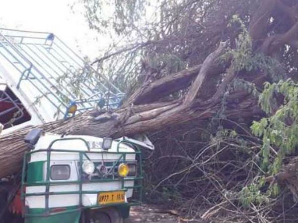 मॉनसून सामान्य रहेगा 