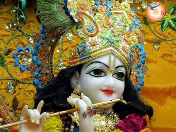 चंदन यात्रा महोत्सव 