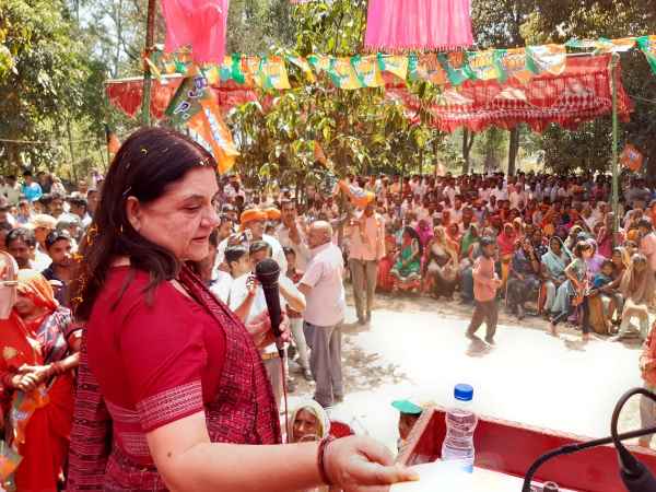 Menka Gandhi attacked on Mayawati on ticket distribution Menka Gandhi attacked on Mayawati on ticket distribution