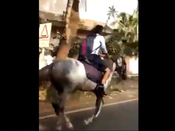 इस खास वजह से घोड़े पर स्कूल गई छात्रा इस खास वजह से घोड़े पर स्कूल गई छात्रा