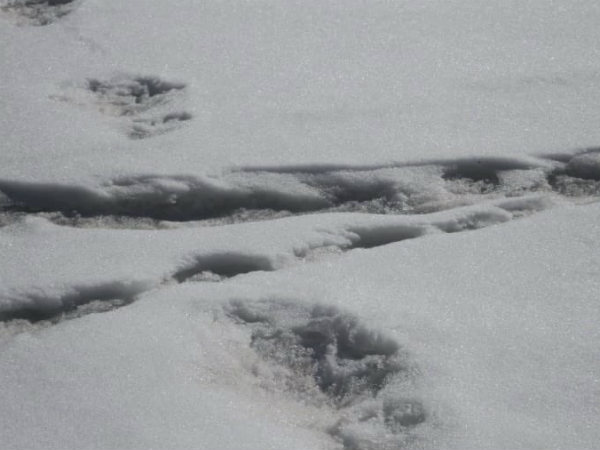 कुछ भी साबित करना मुश्किल 