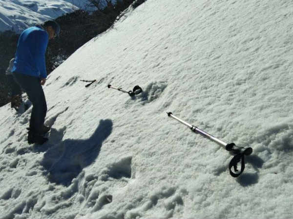 एक रहस्‍मय प्राणी येती 