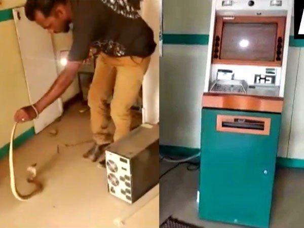एटीएम मशीन से निकला सांप एटीएम मशीन से निकला सांप