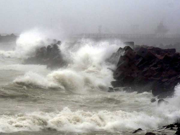 कौन तय करता है नाम? 