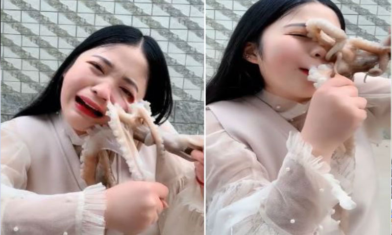 Video: What Happen When Girl was Trying to eat Live Octopus in China Video: What Happen When Girl was Trying to eat Live Octopus in China