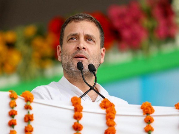 राहुल गांधी के खिलाफ 19 उम्मीदवार मैदान में थे 