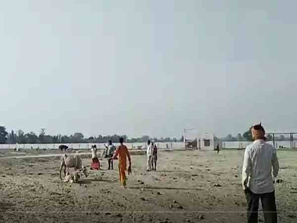 many cows are dying in gaushala