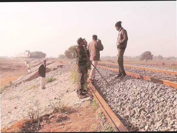 रेल-पटरियों पर ज्यादा हो रही थीं शेरों की मौतें