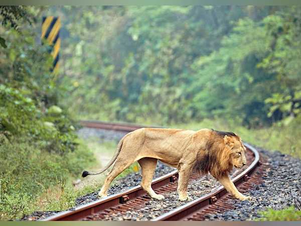 पहले ट्रेन की स्पीड कम करने पर हुआ था अमल