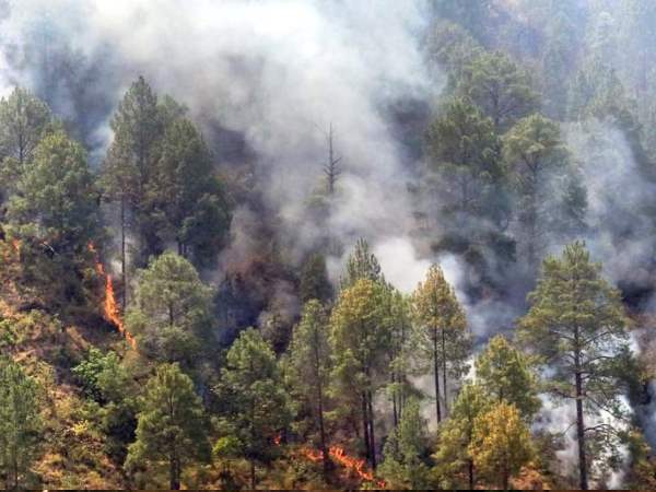 क्या कहती हैं महिला मंगल दल की अध्यक्ष