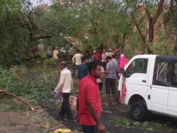 पेड़ और बिजली के खंभे गिर जाने से यातायात अवरुद्ध पेड़ और बिजली के खंभे गिर जाने से यातायात अवरुद्ध