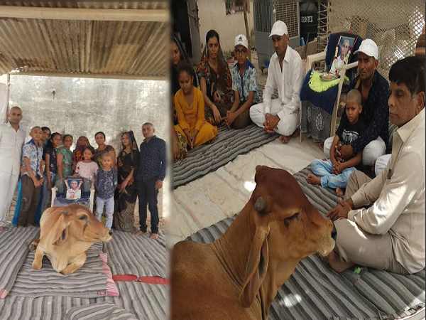 बेटे ने बताया- पिताजी ने ताउम्र गौ-सेवा की थी