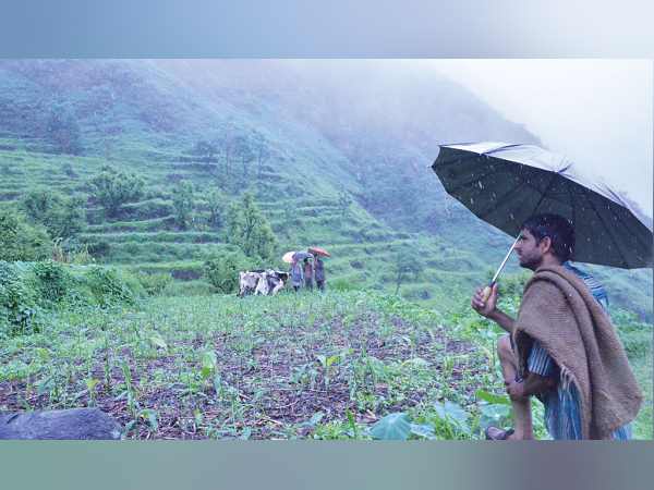 अधिकारी बोले- मारने की अनुमति दे दी गई है