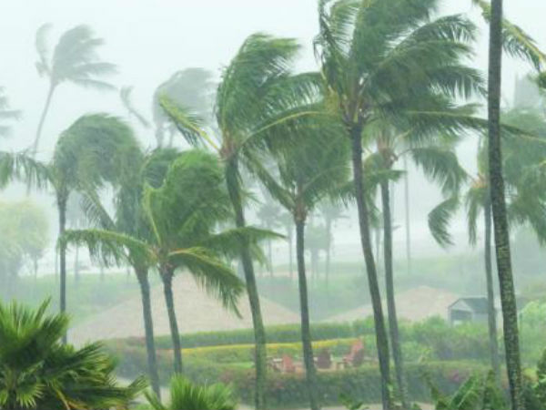 20 वर्षों में भारत में दस्तक देने वाला सबसे भयानक तूफान था 'फानी' 20 वर्षों में भारत में दस्तक देने वाला सबसे भयानक तूफान था 'फानी'