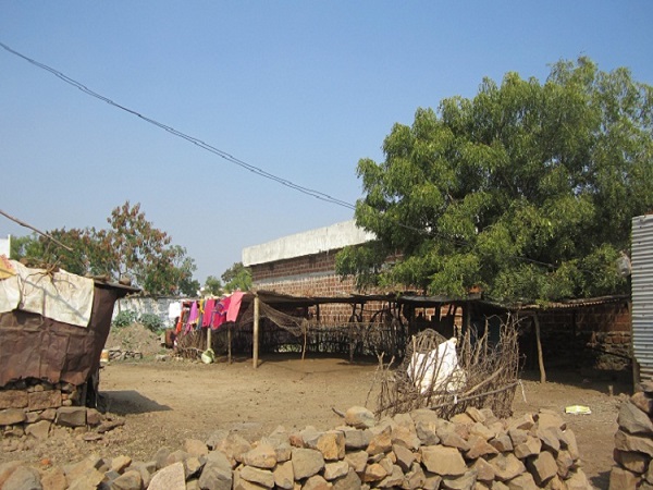 जानवरों के शव नहीं उठाते दलित