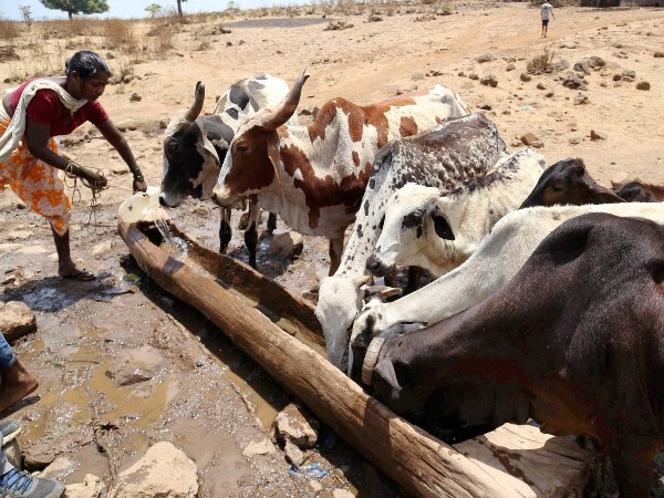 इन राज्यों में प्री मानसून की बारिश सबसे कम हुई