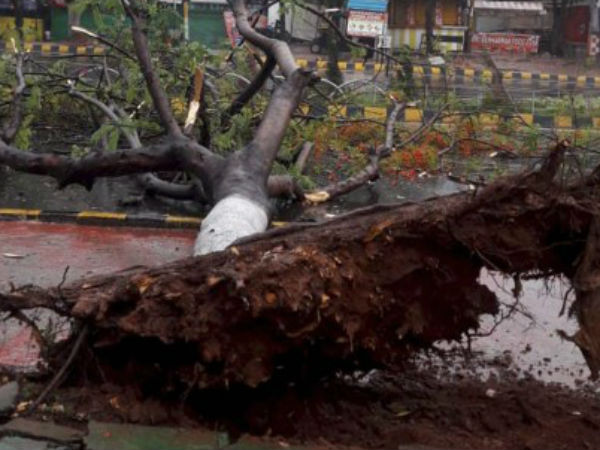 संयुक्त राष्ट्रसंघ ने की भारतीय मौसम विभाग की तारीफ संयुक्त राष्ट्रसंघ ने की भारतीय मौसम विभाग की तारीफ