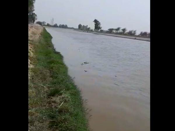 Four men DeadBody Found in Bikaner Canal Four men DeadBody Found in Bikaner Canal