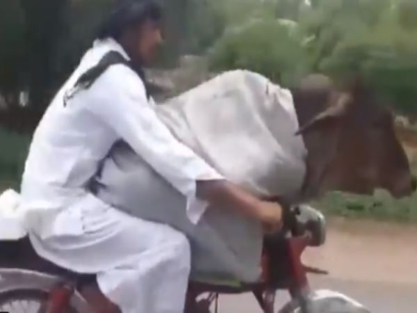 वीडियो पर आ रहे ऐसे रिएक्शन