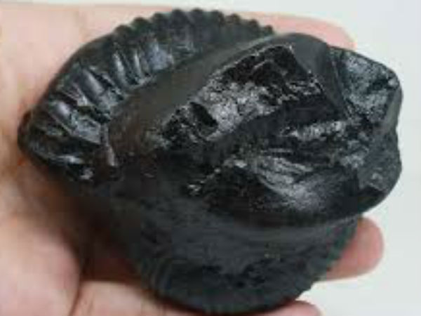 शालिग्राम पूजा के लाभ